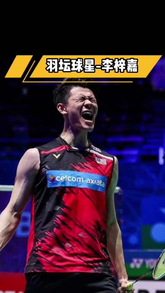 丹麦队鏖战德国队，李梓嘉高光表现