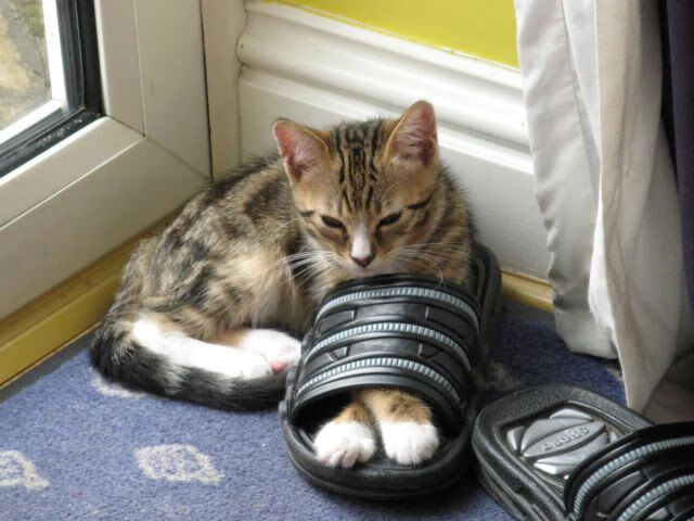 当戈麦斯凌空点燃光明球场，格纳布里在安联的火焰已然蔓延