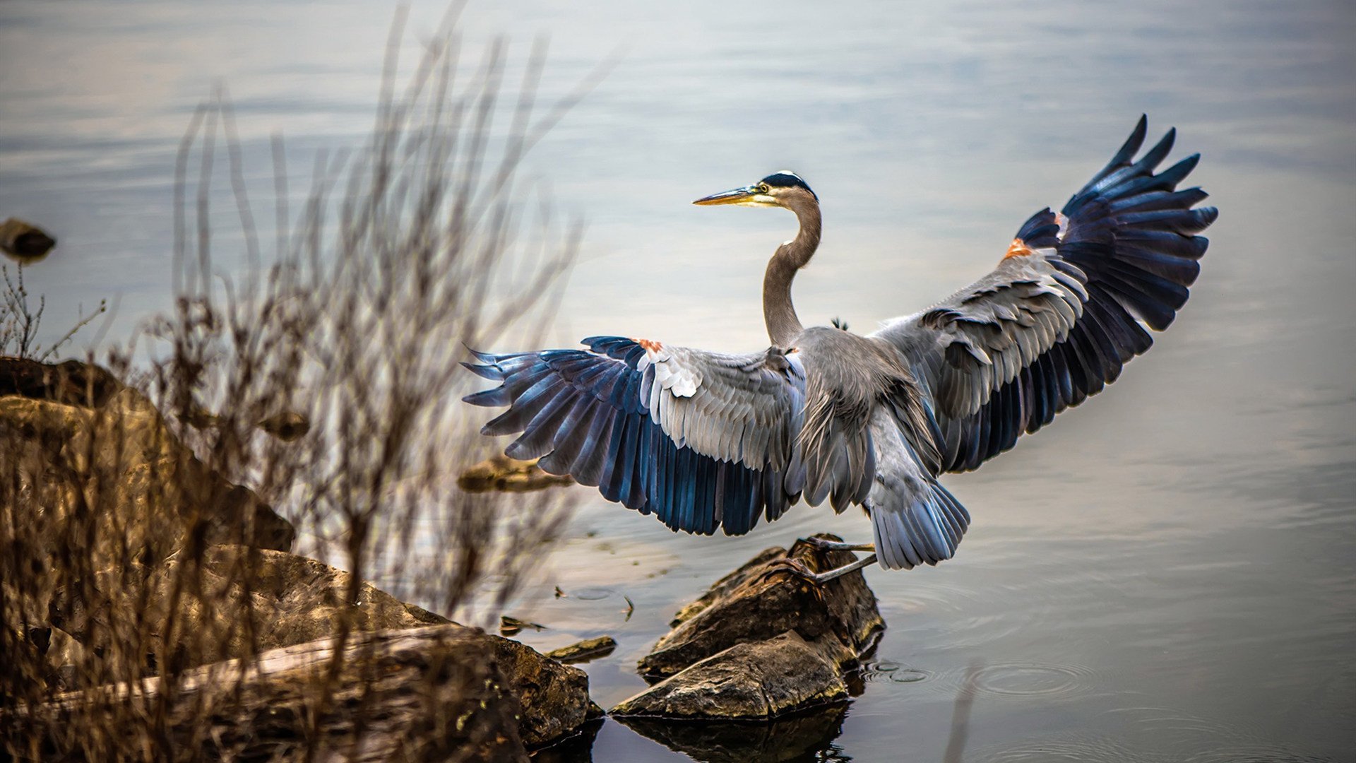 红魔之怒，比利时铁骑碾过药厂，本泽马王冠加冕之夜