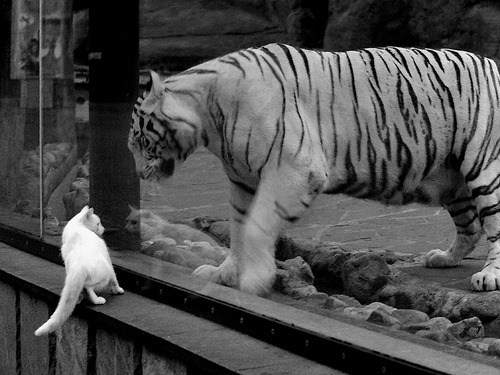 两次火焰，当法国队翻盘瑞典，马龙点燃赛场