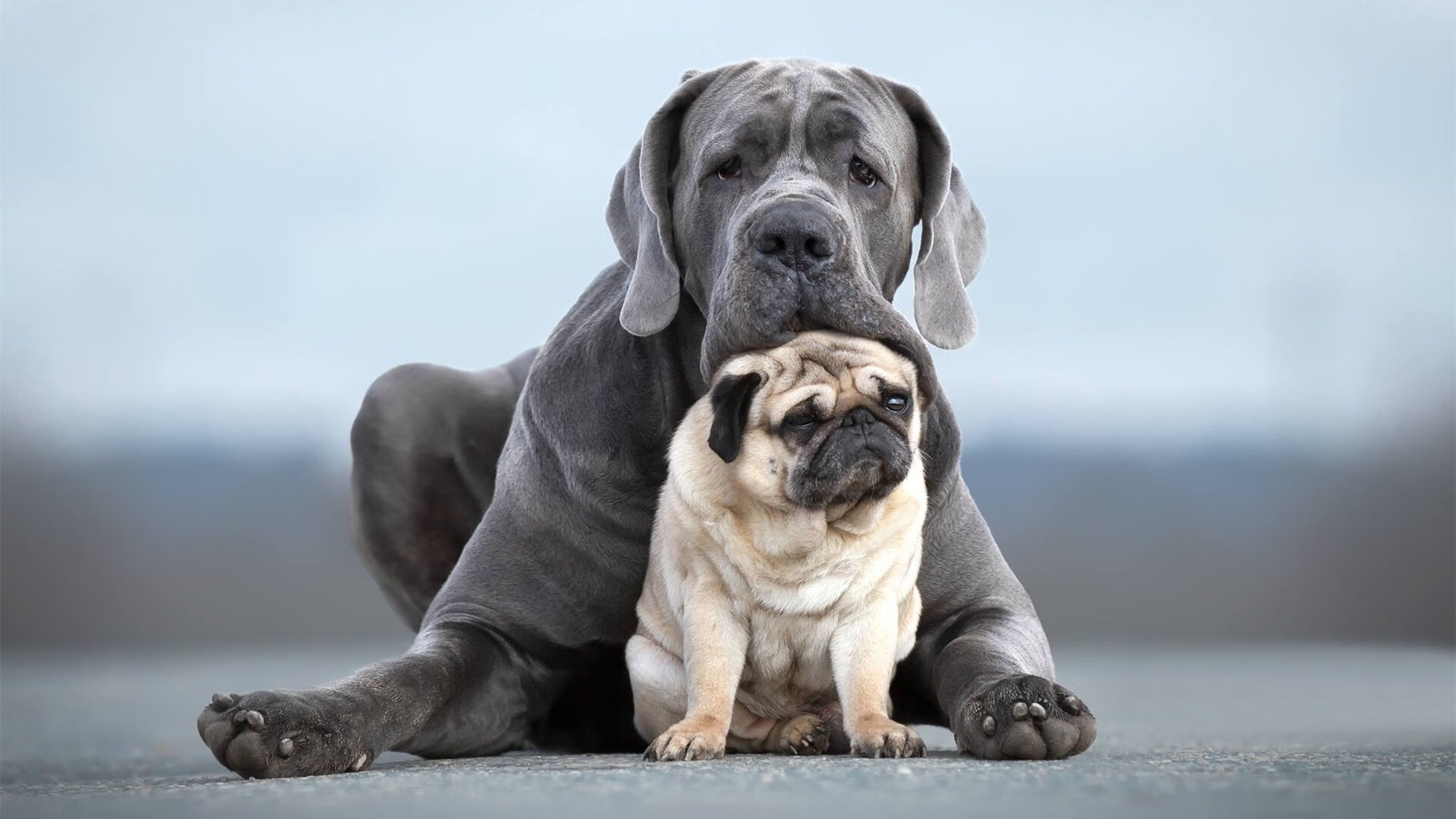 欧冠奇迹夜,威尔士钢刃收割那不勒斯,门迪化身关键先生定江山