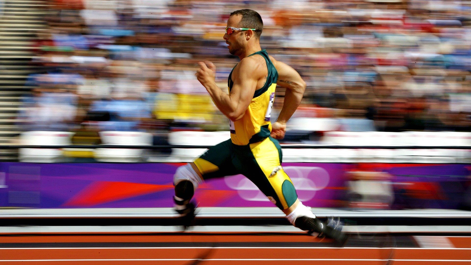 从北境雪原到西非雨林,2026世界杯最独特较量,加拿大如何斩断几内亚黑马之路?