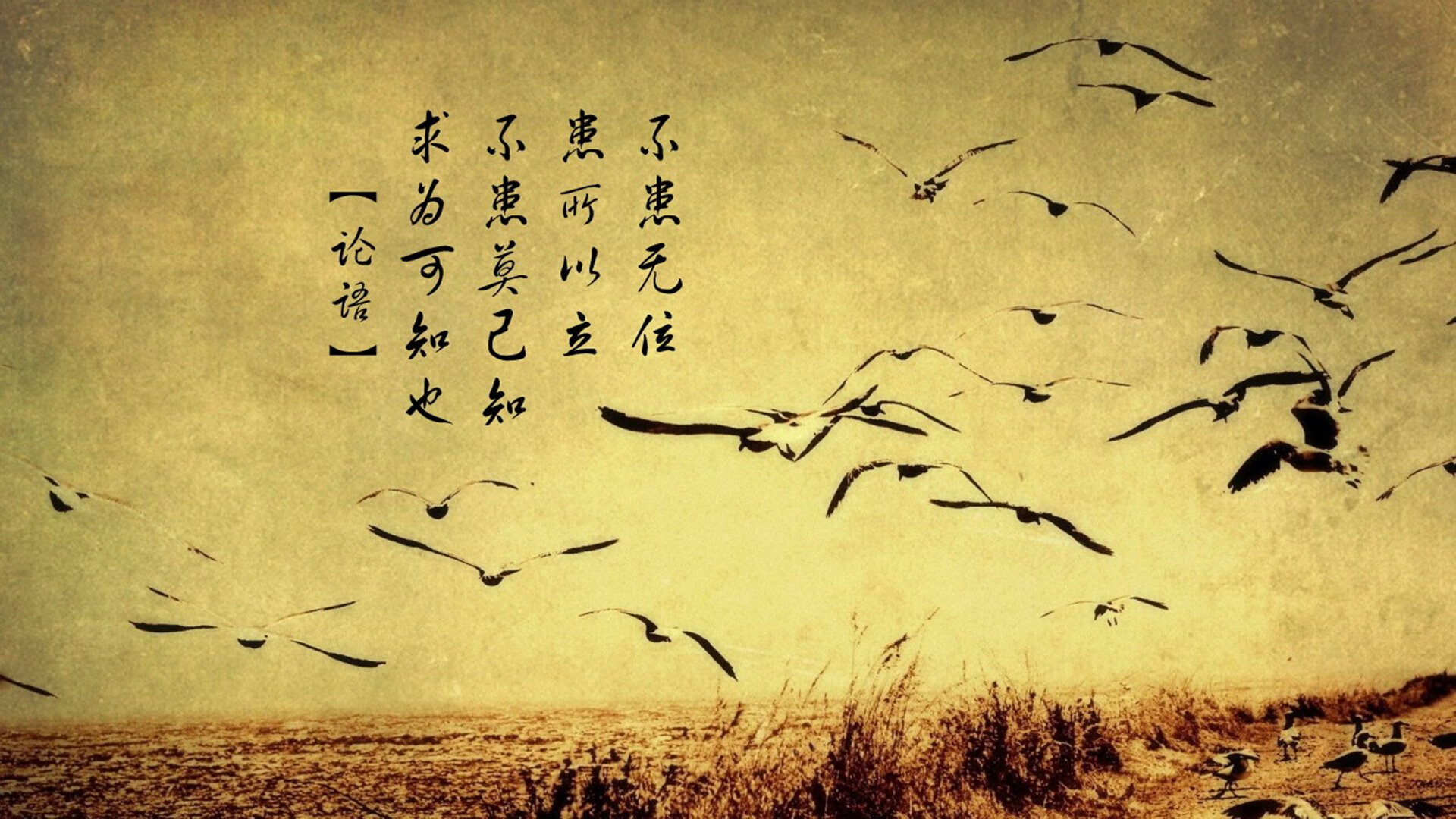 黑铁的夜晚与黄金的字母哥,一场粗暴美学的终极献祭