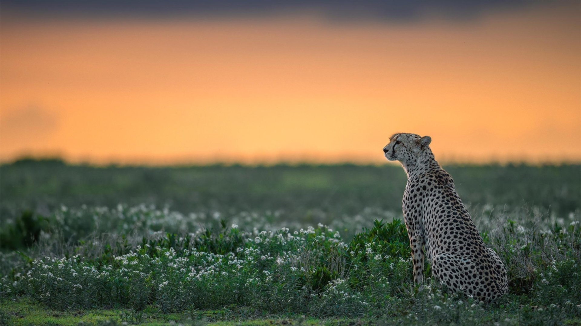 铁壁与利刃，毕尔巴鄂封锁战术下的哥斯达黎加，与伊萨克的光辉独舞