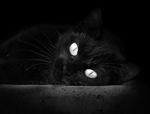 卡塞米罗全能爆发引爆战局，哥伦比亚高效得分链彻底压制乌拉圭