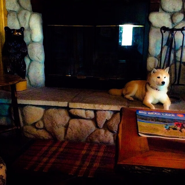 双雄对决之夜，字母哥血战到底，马克西末节封神