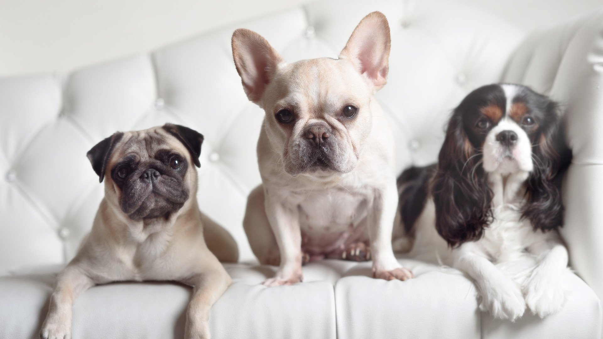 当休斯顿的夜遇上费城的节奏，恩比德的世界杯交响曲