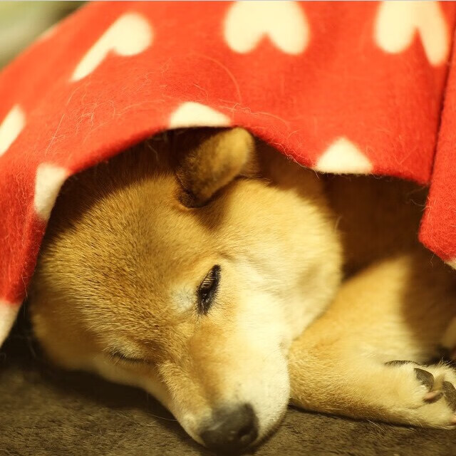 35岁的刀，依旧锋利，本泽马在巴黎的星光下，完成了一场暮年剑客的打爆