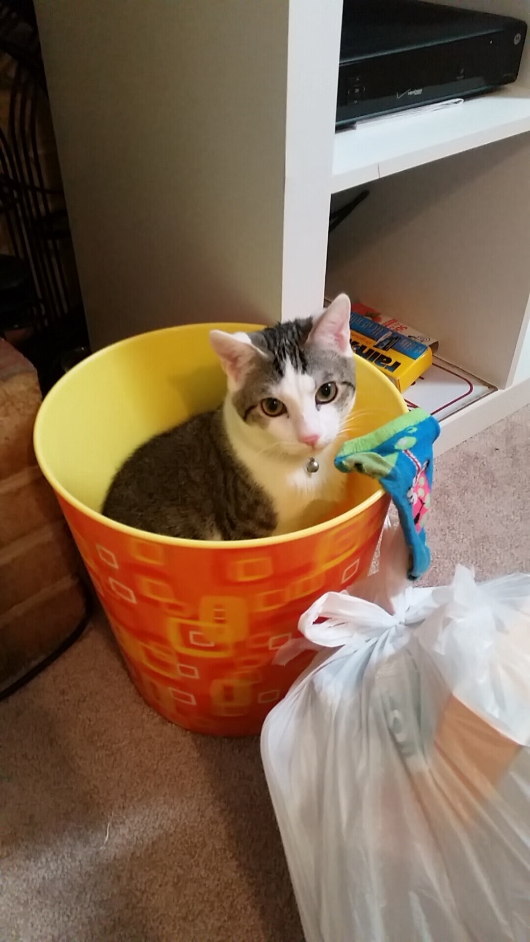 南方与北方的角力,当春天之子用足球回应橄榄球的呐喊