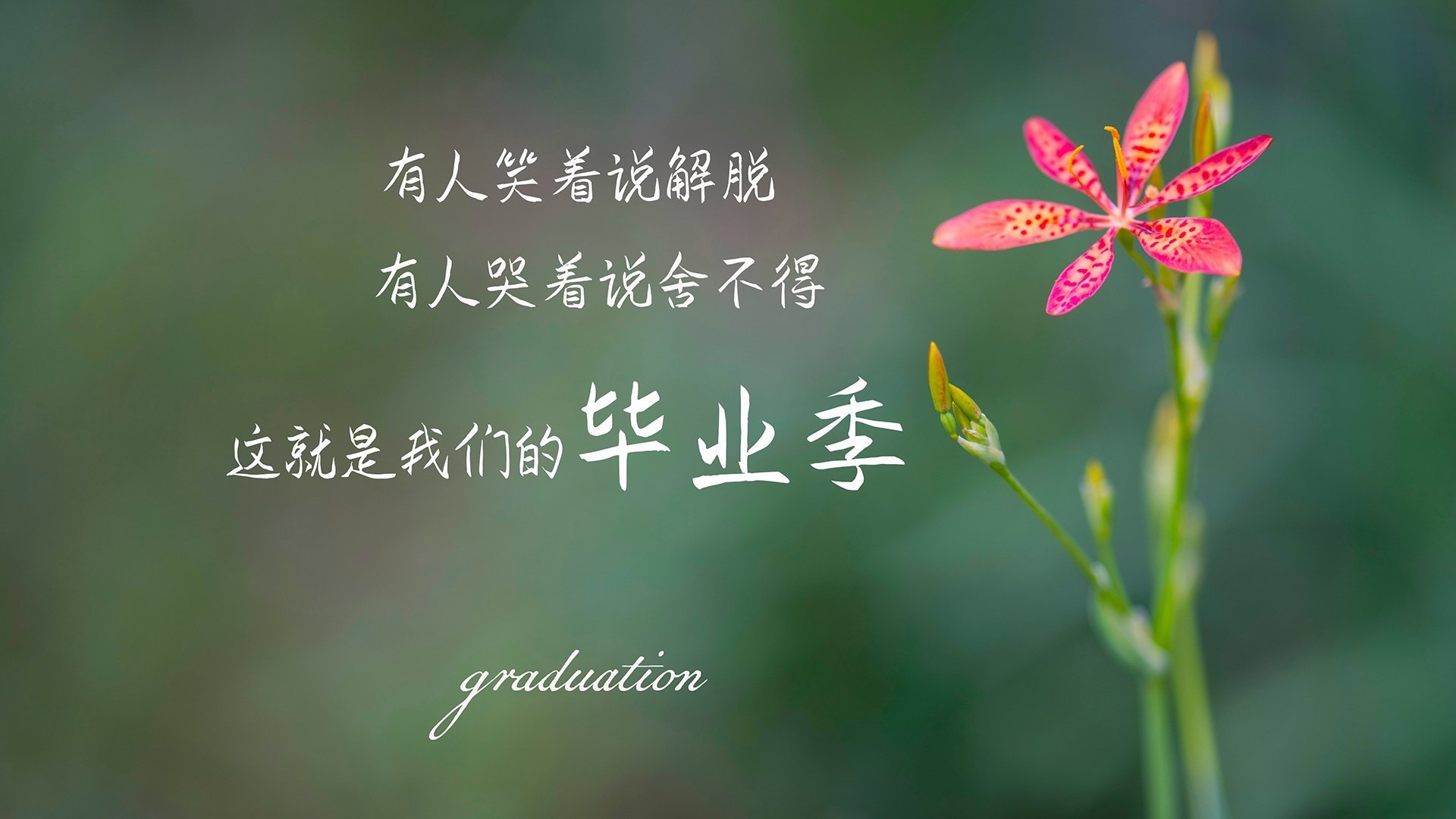 终结者，当拉什福德撕碎纪录，红黑军团碾碎神话