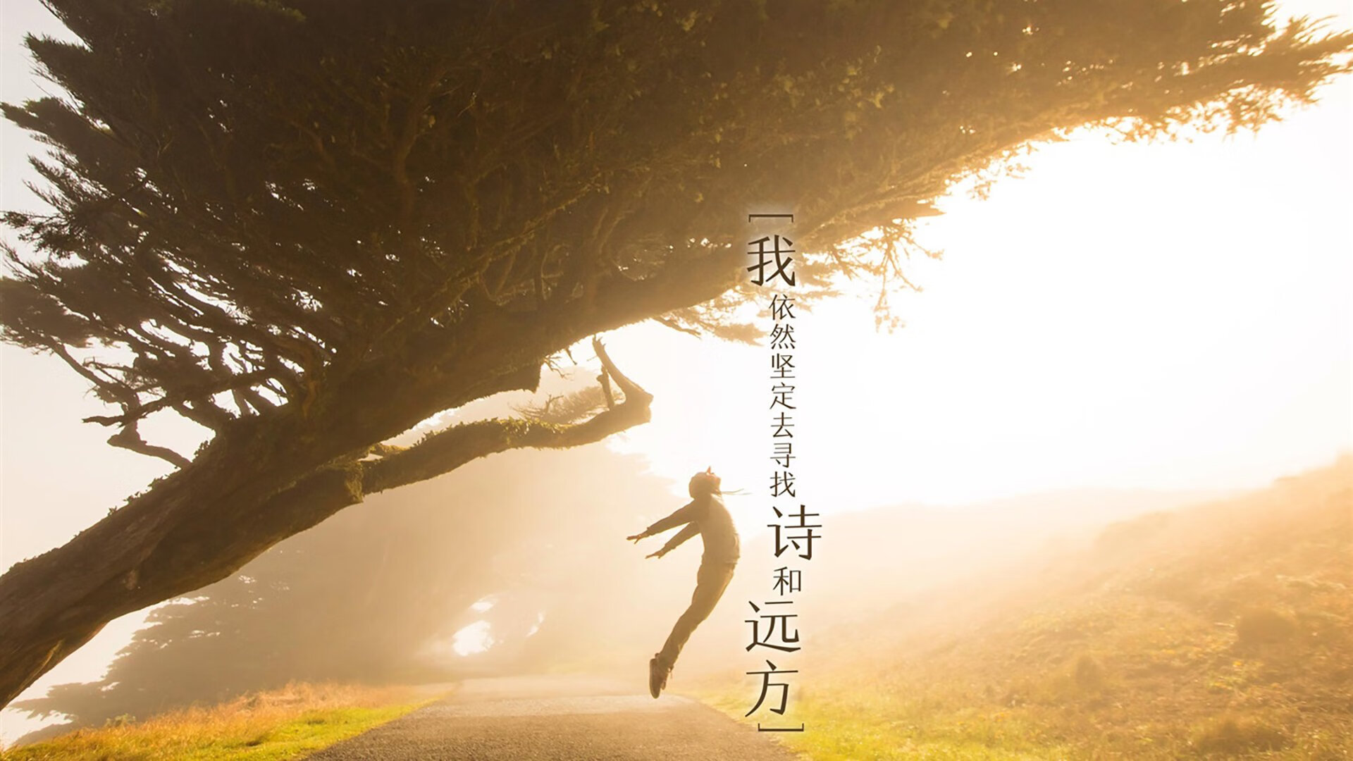 加克波关键一击，土耳其完胜厄瓜多尔